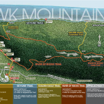 The Hawk Mountain Hike