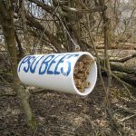 Tube with PSU Berks painted on outside provides shelter for bee hive